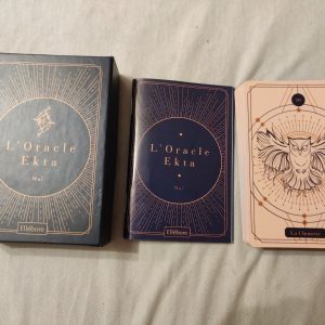 L'Oracle D'ekta Coffret 53 Cartes Illustrées Avec Livret Tarot Cartomancie